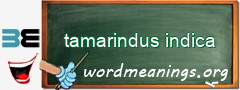 WordMeaning blackboard for tamarindus indica